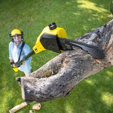 Lawn Maintenance Plans in Walsenburg, CO