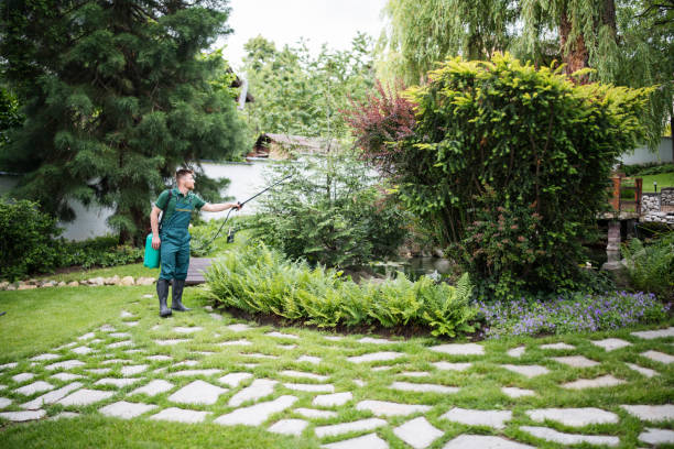 Best Commercial Tree Services  in Walsenburg, CO